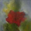 Bild 75